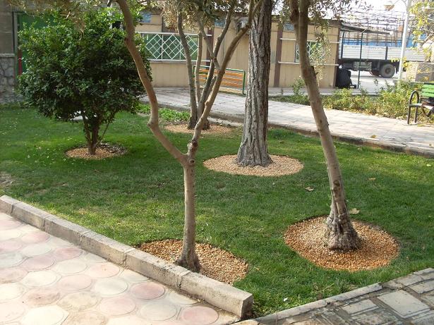 تصاویر تزئین پاي درختان با قلوه سنگ در حیاط و ویلا
